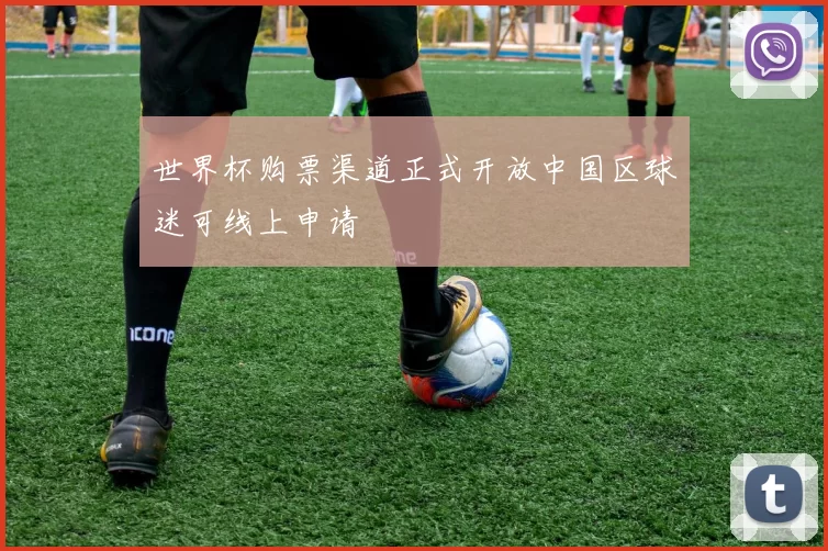 世界杯购票渠道正式开放中国区球迷可线上申请