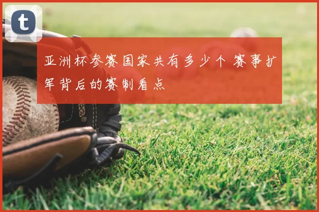 亚洲杯参赛国家共有多少个 赛事扩军背后的赛制看点