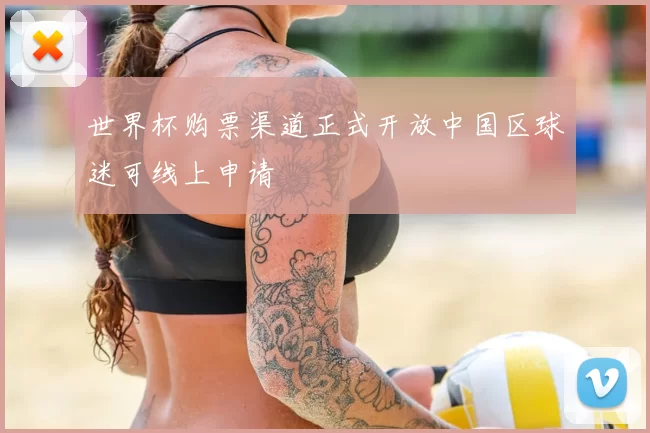 世界杯购票渠道正式开放中国区球迷可线上申请